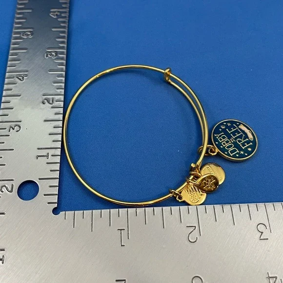 Alex and Ani Harry Potter ‘Dobby is Free’ shiny gold finish bangle bracelet - Picture 5 of 6